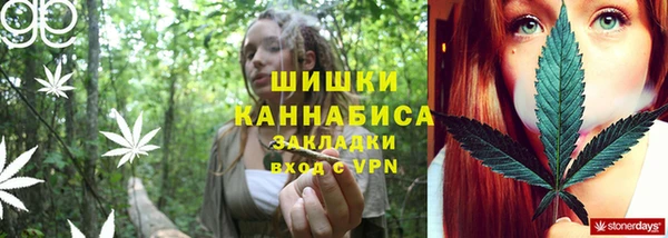 спайс Алзамай
