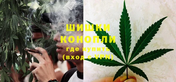 спайс Алзамай