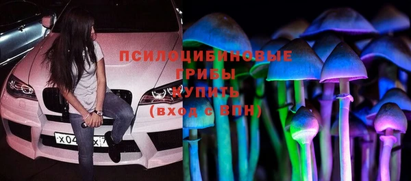 спайс Алзамай