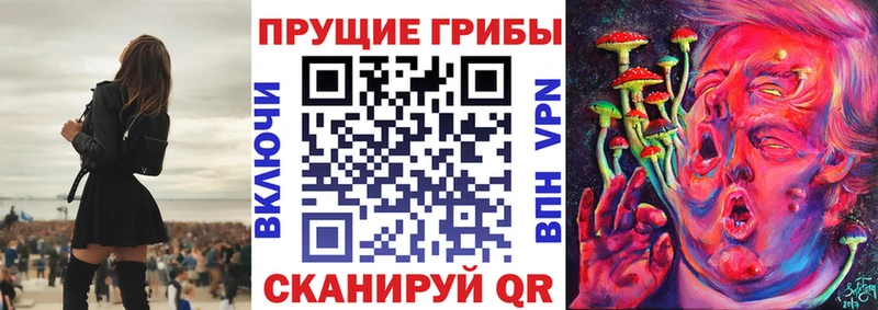 Псилоцибиновые грибы Psilocybine cubensis  Избербаш 